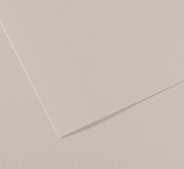 Mi-Teinttes Pearl Grey 19X25